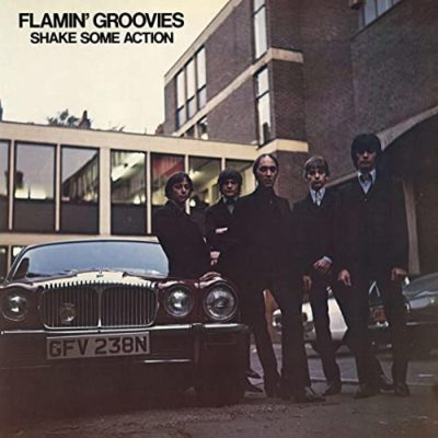 Flamin_-Groovies-Shake-Some-Action